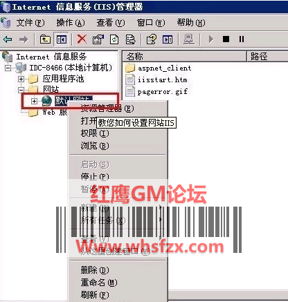 IIS