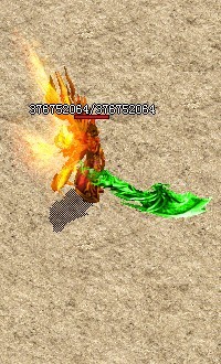 .jpg